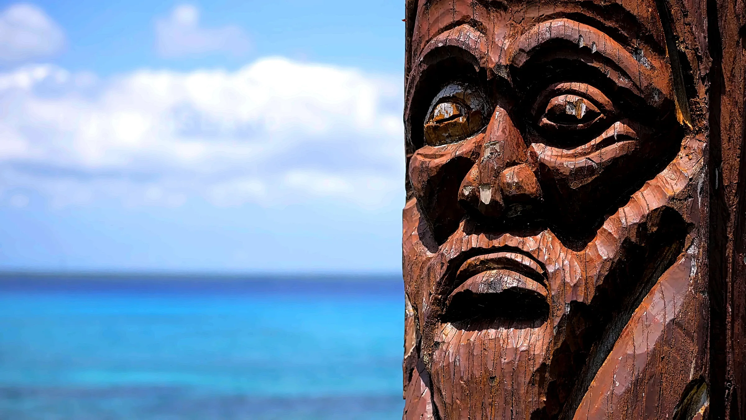 Aux Îles Loyauté, le santal s'exploite sur des terres relevant du domaine coutumier kanak.